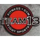 Logo Team 13