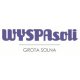 Logo Wyspa Soli