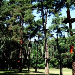 Fabryka Małp Park Linowy